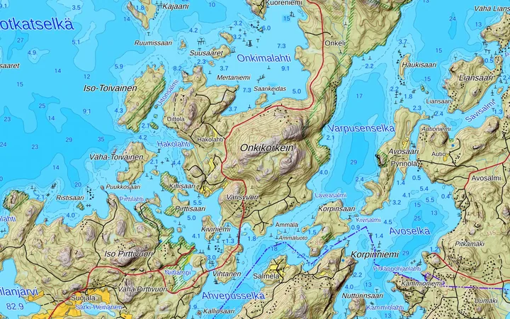 Rinnevarjostettu maastokartta